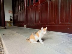-西园戒幢律寺