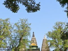 -北京石刻艺术博物馆(五塔寺)