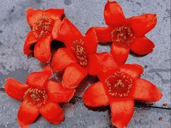 -烈士陵园(地铁站)