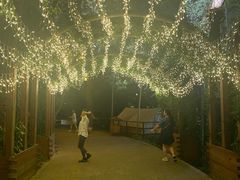 -天目湖山水园