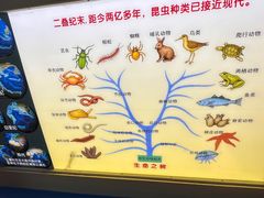 -上海昆虫博物馆