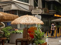 -泡桐树街