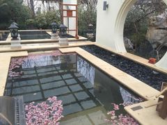 -苏州湾王焰温泉度假酒店