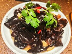 小木耳-蛙喔炭烧牛蛙(盐城盐都万达店)