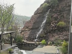 -雅苑中餐厅