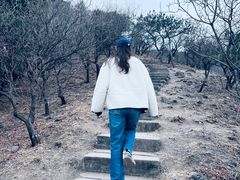 -十三陵水库