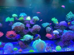 -海合安成都极地海洋公园
