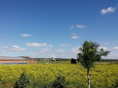 -御道口草原森林风景区