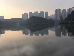 -重庆彩云湖湿地公园