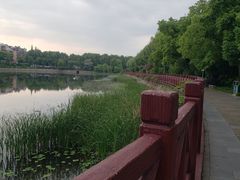 -雨湖公园
