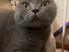 -得记得潮州海鲜砂锅粥(宝业路店)