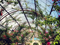 -The Grounds of Alexandria