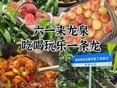 -桃源山庄·水蜜桃采摘·柴火鸡·烧烤团建(龙泉山店)