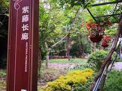 -东平国家森林公园
