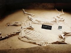 -洛阳周王城天子驾六博物馆
