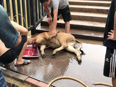 -好江南农庄·农家乐