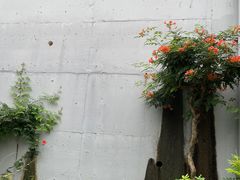 -南京市江宁方山