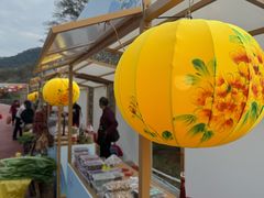 -广州市流溪河国家森林公园