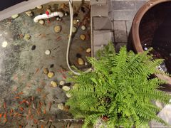 -瓦舍茶馆(聚源路店)