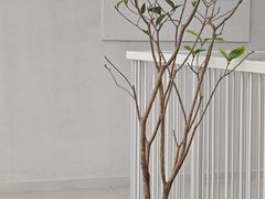 -大树餐厅(红旗街万达店)