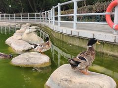 -莲湖公园