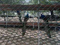 -北京鹿世界主题园