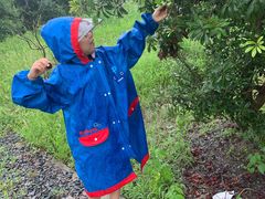 -塘栖枇杷特色园区