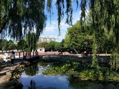 -黛秀湖公园