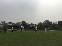 -田园东方蜜桃村的田野营地
