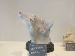 -房山世界地质公园博物馆