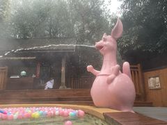 -天目湖涵田半山温泉