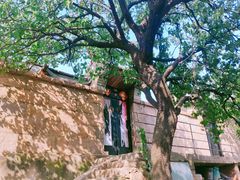 -石岛赤山风景区