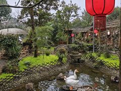 -青城甲(青城山店)