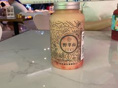 -野萃山·潮汕厚果汁(十亩地店)