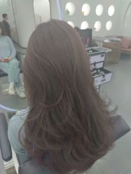 -T8 SALON