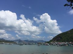 -南丫岛
