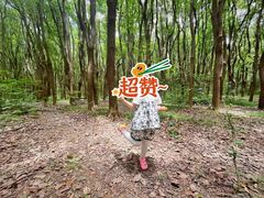 -同里国家湿地公园