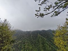 -少华山国家森林公园
