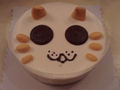 猫科动物-DIY SWEET21(升平路店)