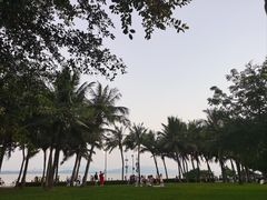 -深圳湾公园(南山区)