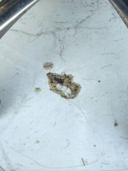 -北京柏丽美容美发