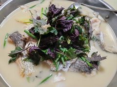 -史记安仁鱼头(浙闽赣食用菌交易中心店)