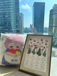 -巍阁高端月子会所