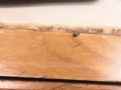 -百年恒益烧腊海鲜酒家·非遗传承(广州黄埔店)
