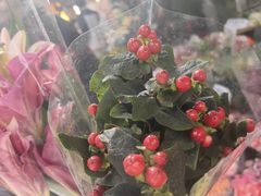 -循礼门鲜花花市(武汉循礼门店)