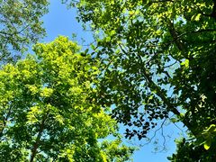 -六合国家地质公园桂子山景区