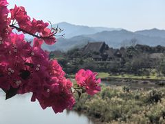 -中国科学院西双版纳热带植物园