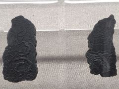 -徐汇艺术馆