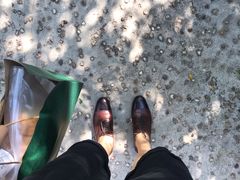 -风车面包