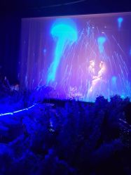 -格乐利雅婚礼艺术中心(南外滩店)